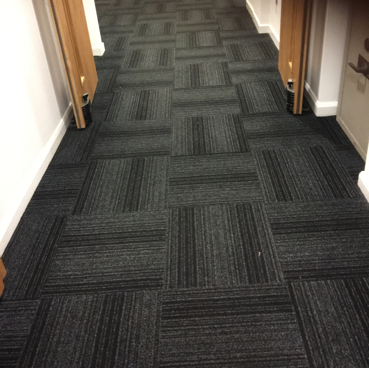 Hard-wearing contract-rated carpets for heavy-duty use.